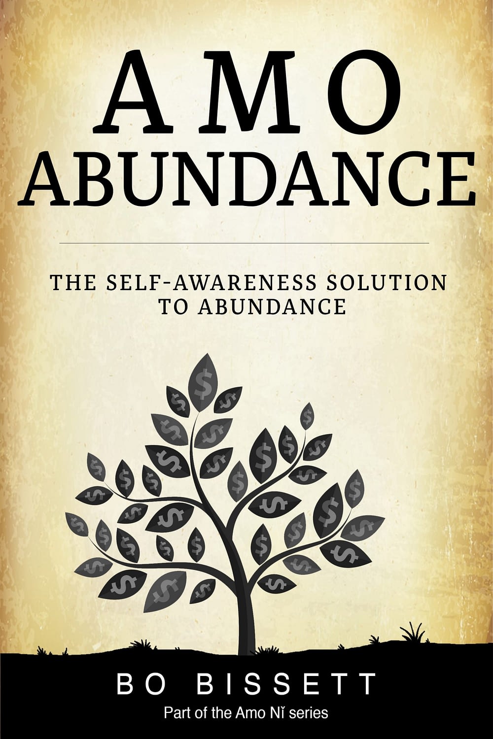 Self-Awareness Solution to Abundance